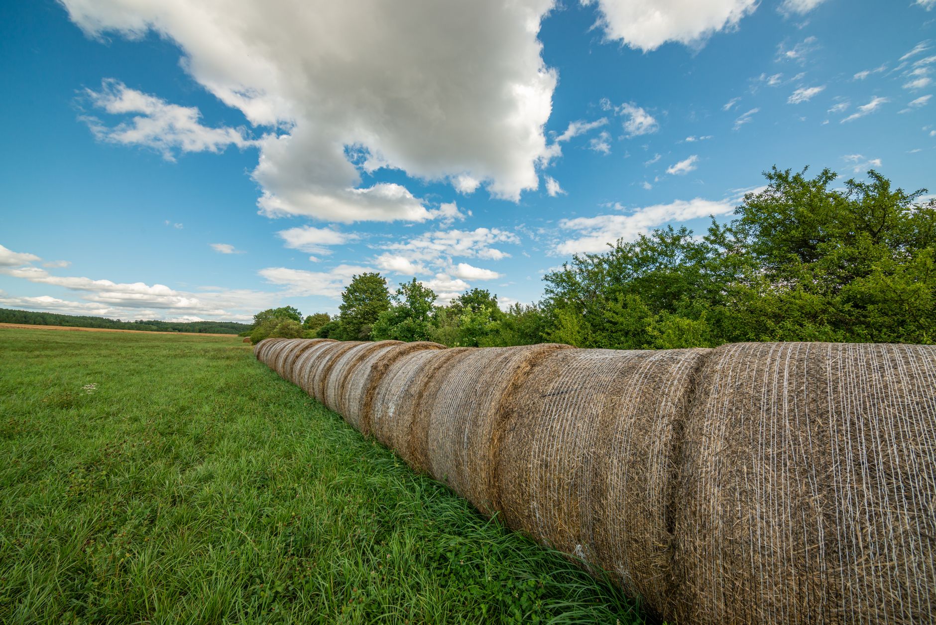 A serene countryside scene with hay rolls under a bright blu