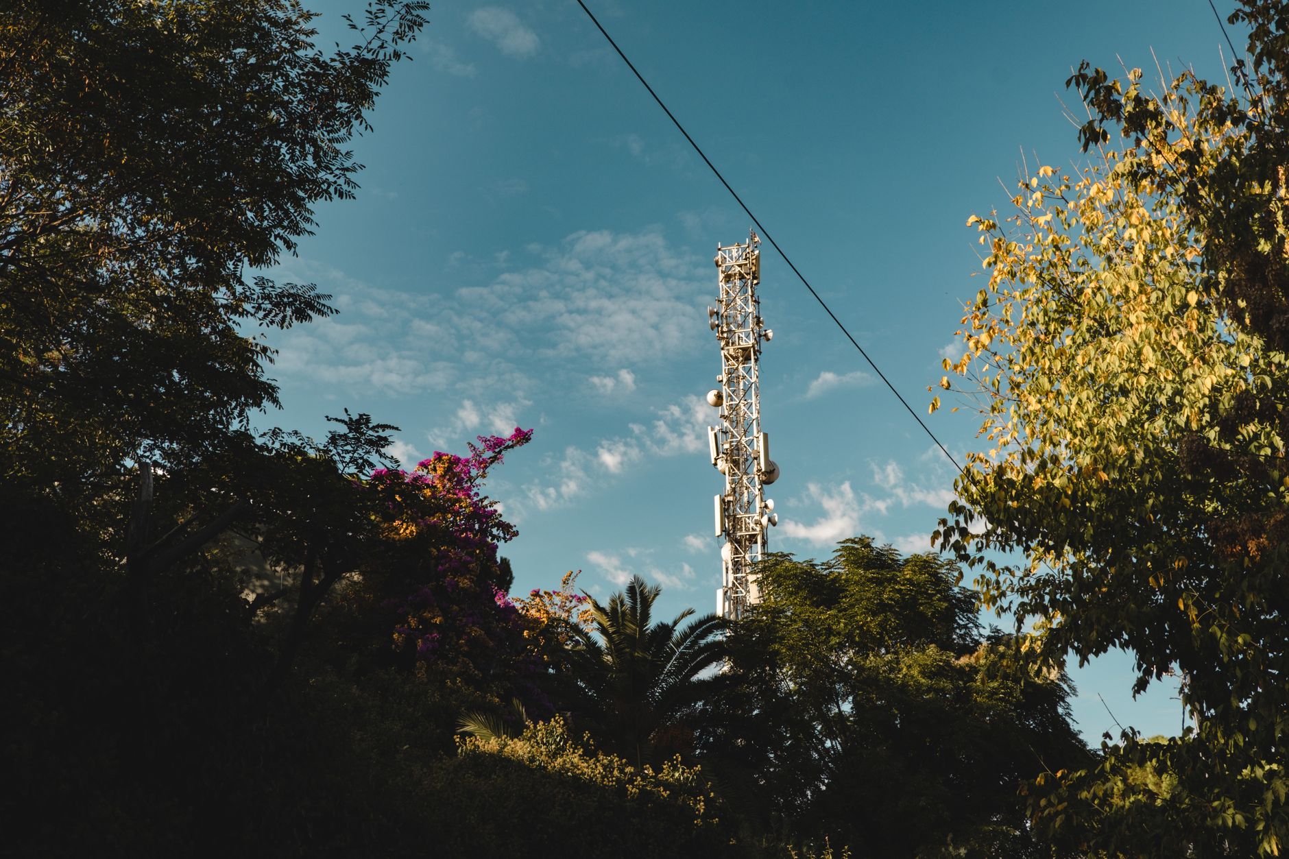 A telecommunication tower rises above trees and foliage agai