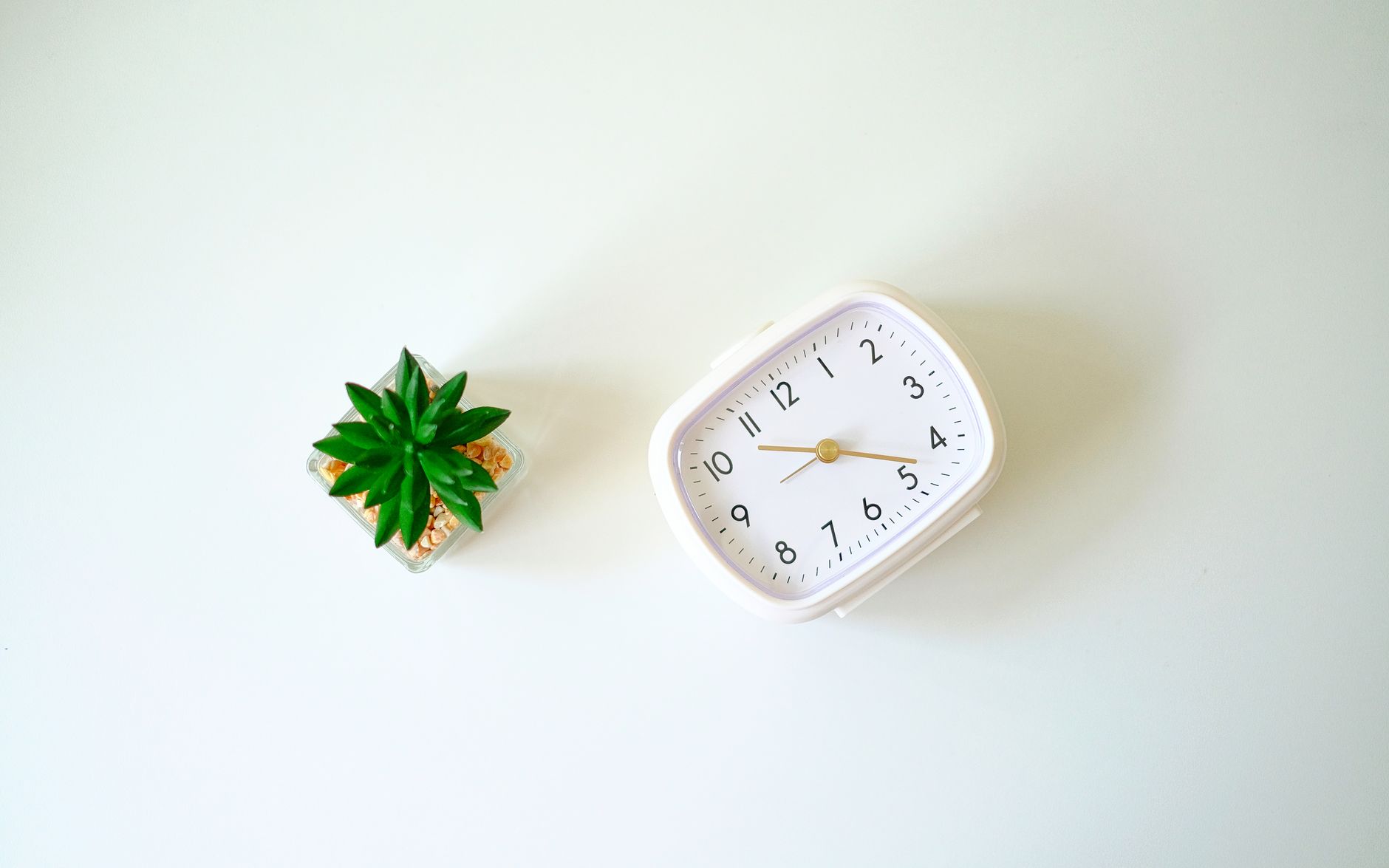 A minimalist desk scene with a white clock and a small cactu