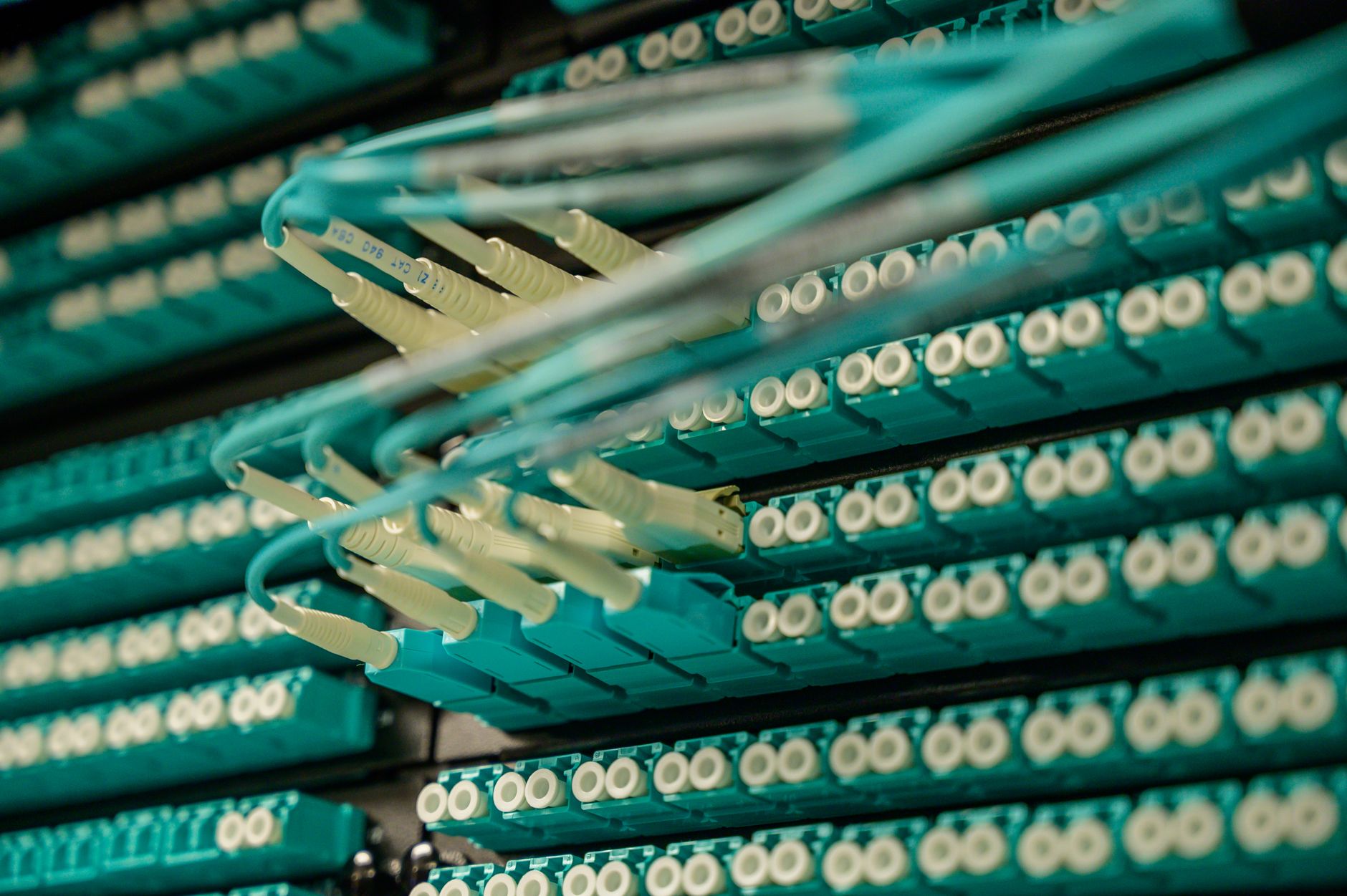 Detailed view of fiber optic cables connected to a server ra