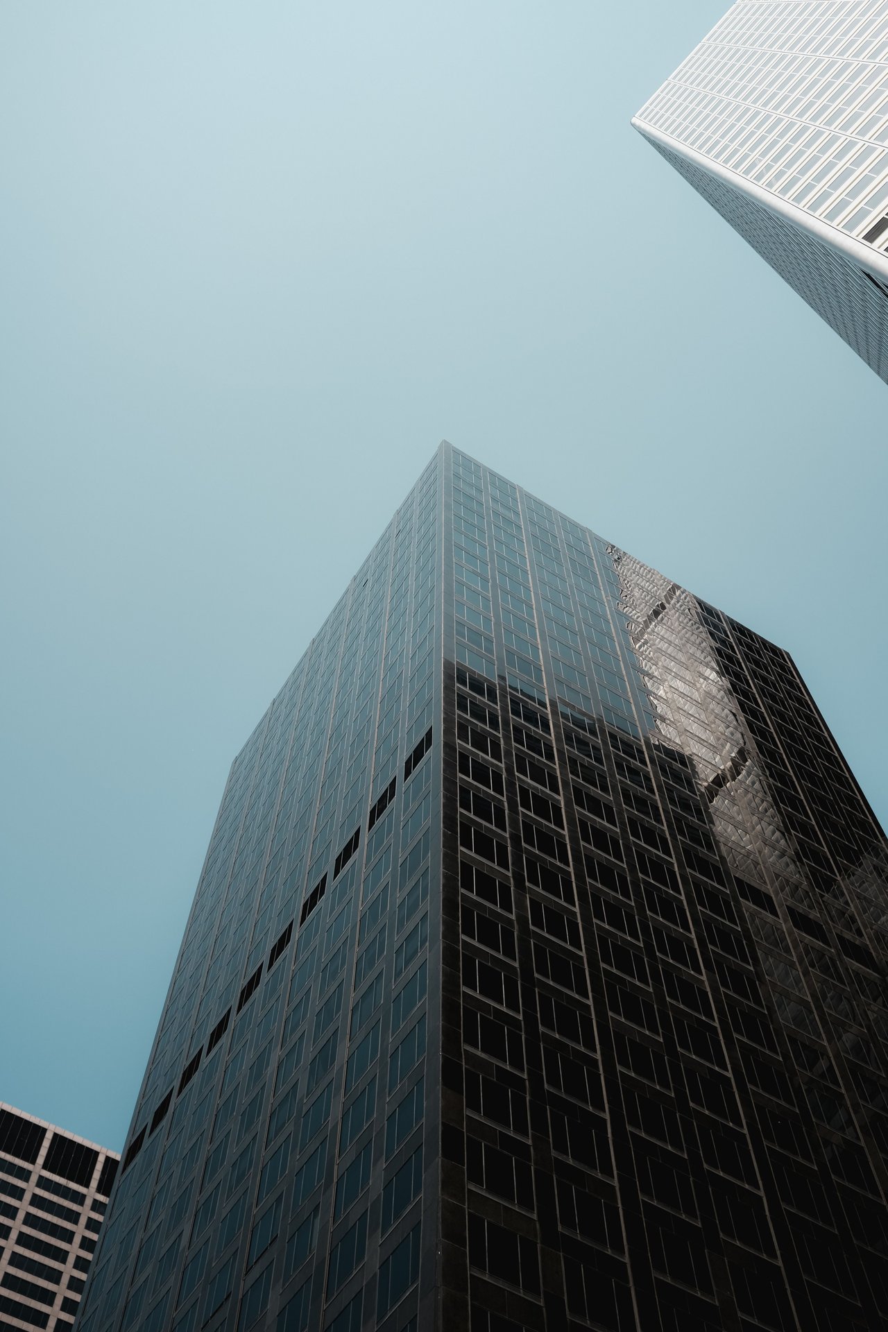Modern skyscrapers towering in a clear urban skyline, captur