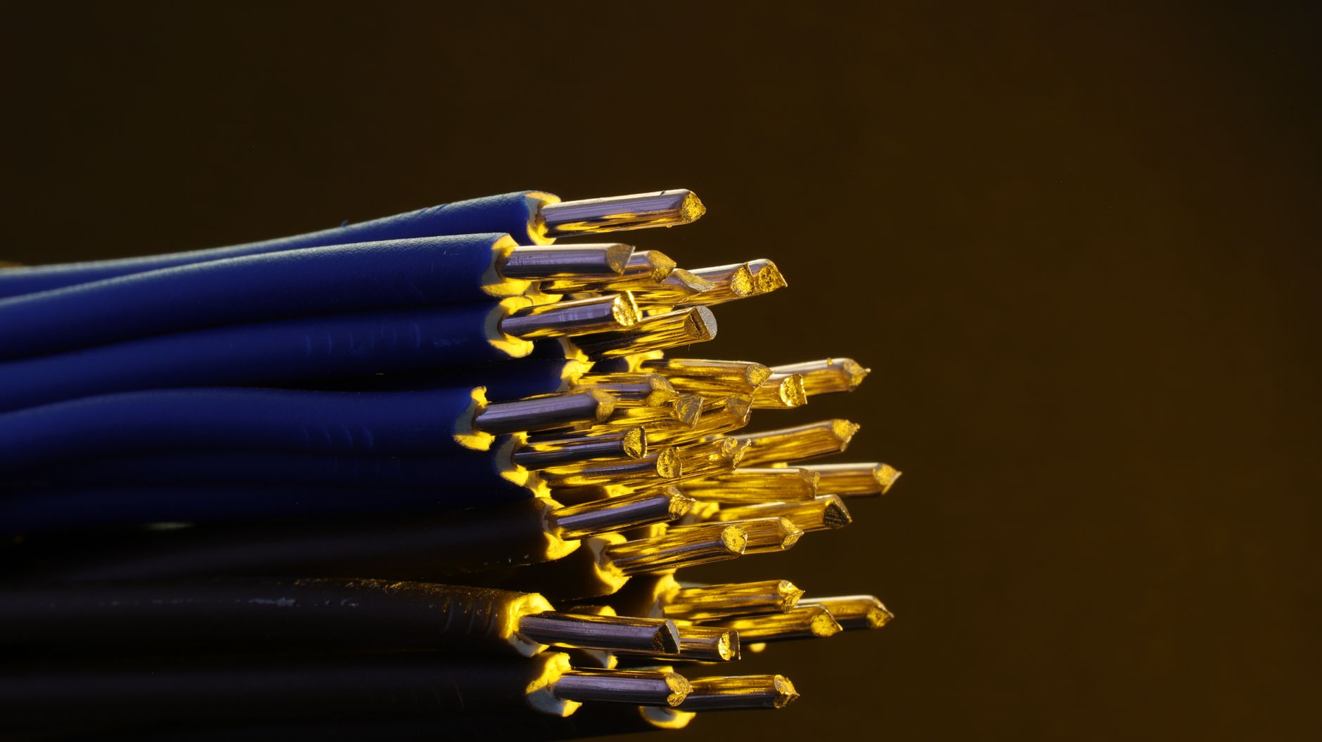 Detailed view of blue ethernet cables with exposed gold-plat