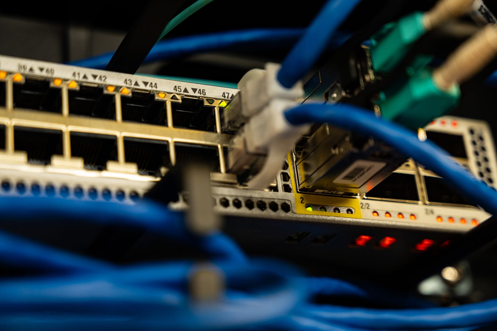 Close-up image of ethernet cables plugged into a network swi