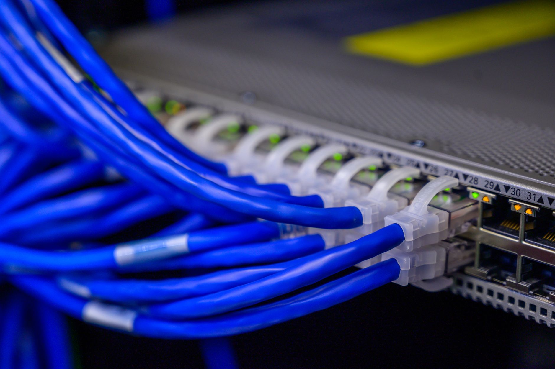 Detailed view of blue ethernet cables connected to a network