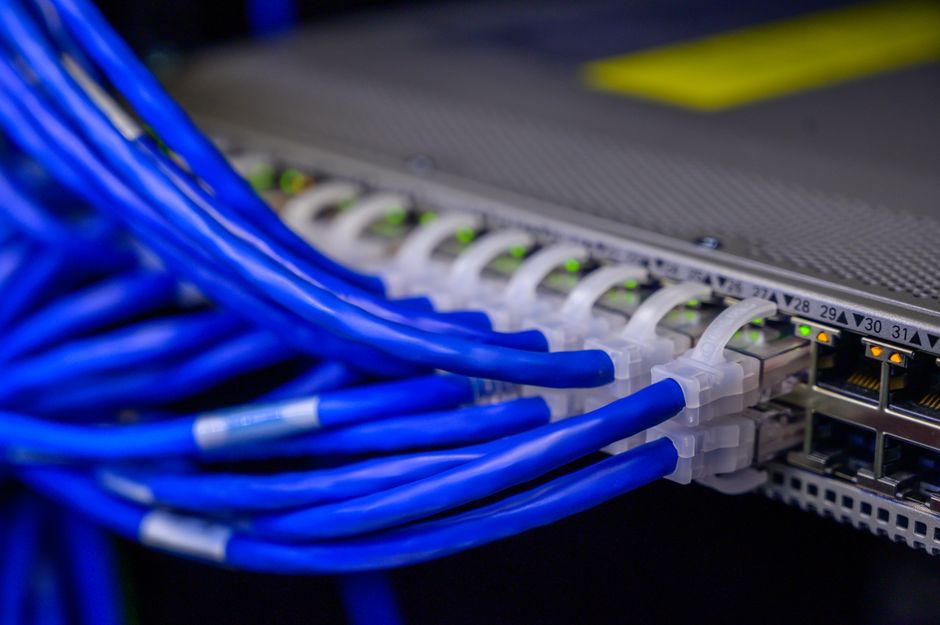 Detailed view of blue ethernet cables connected to a network