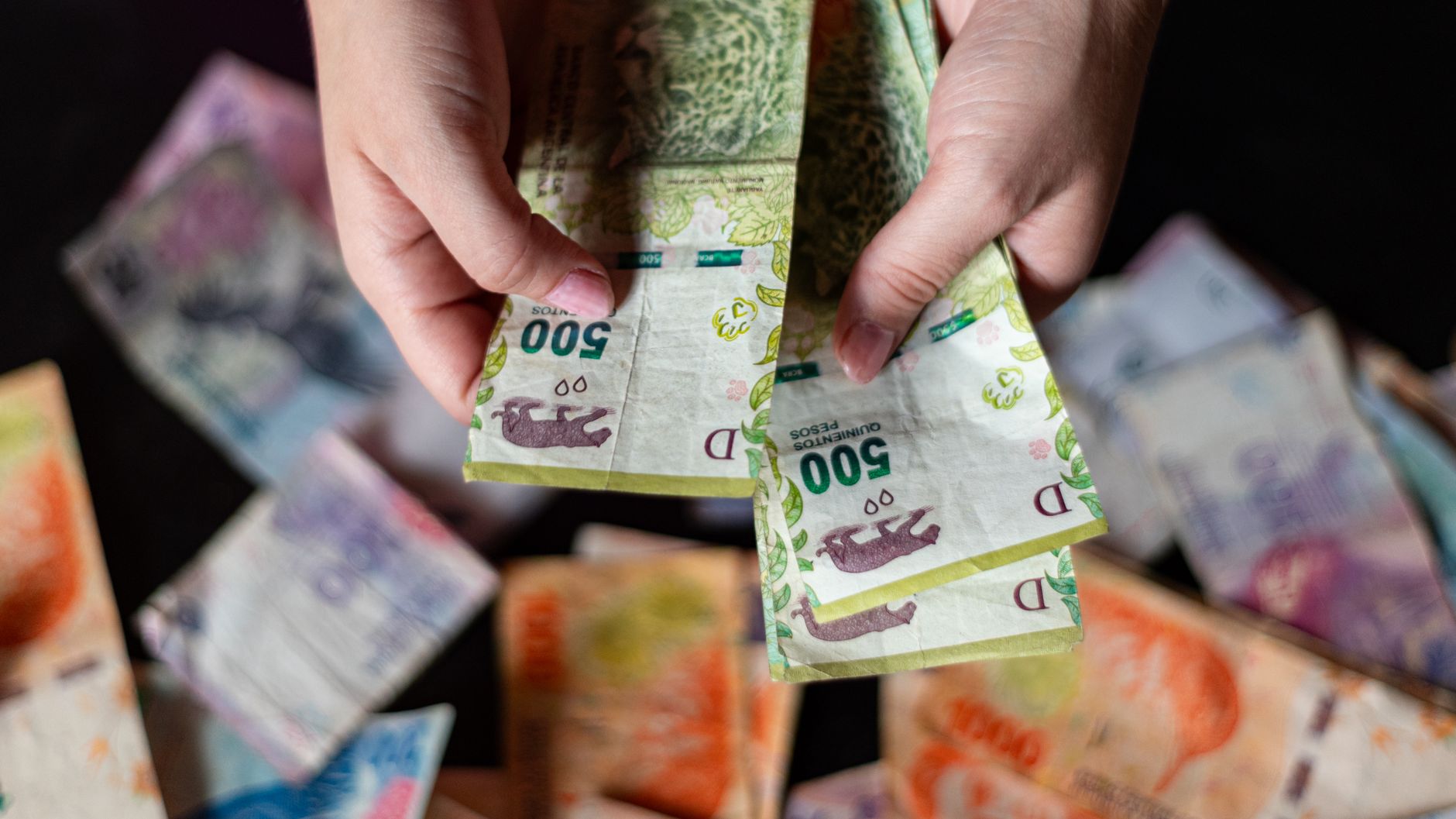 Hands holding Argentine peso banknotes, showcasing currency
