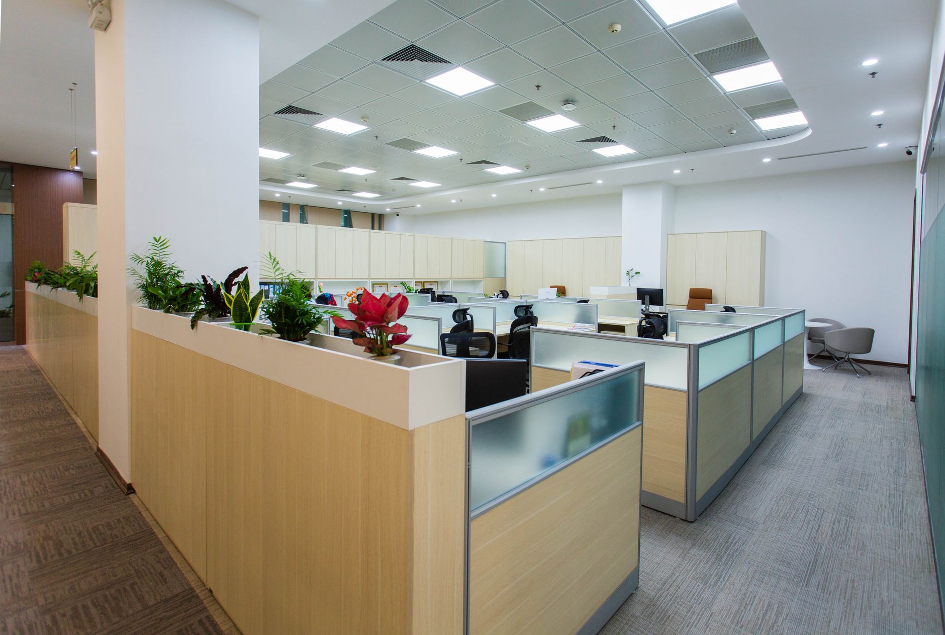 Spacious and bright open office area with cubicles, plants,