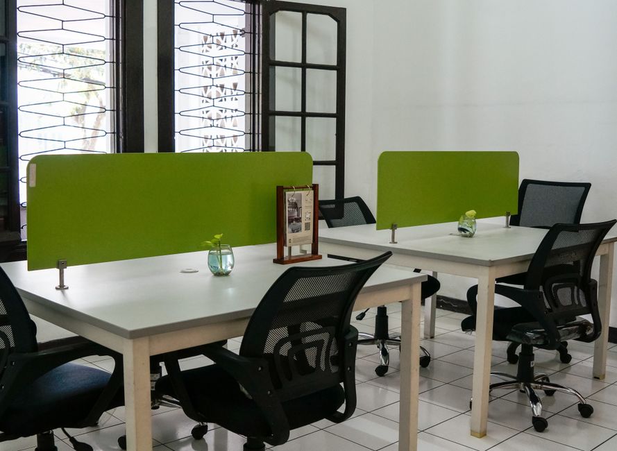 Neat and modern co-working office space featuring green divi