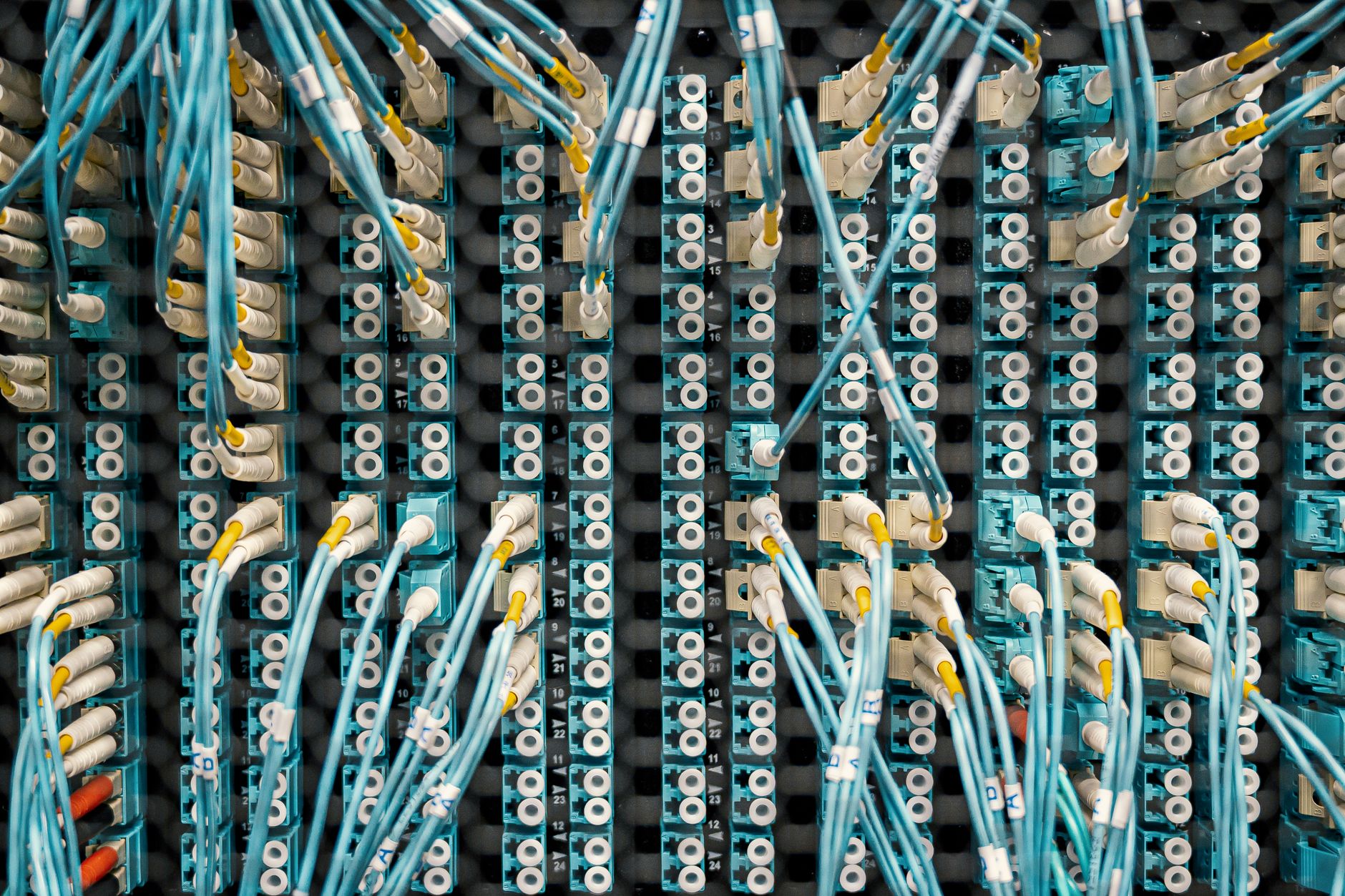 Top view of fiber optic cables connected to ports in modern
