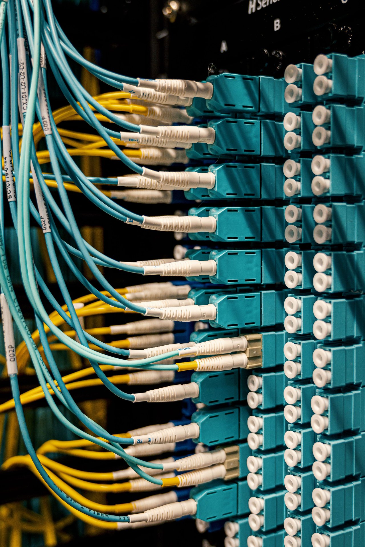 Similar colorful rubber cables with connectors in fiber opti