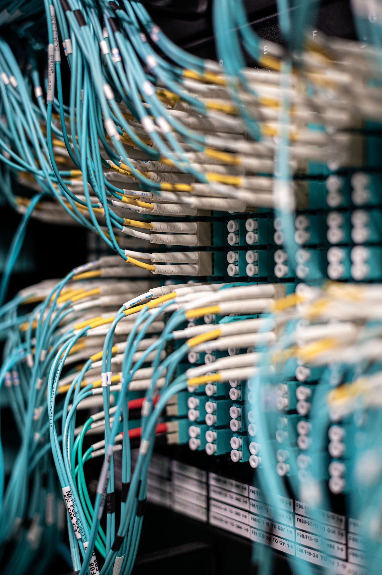 Rows of blue cables and wires plugged into server patch pane