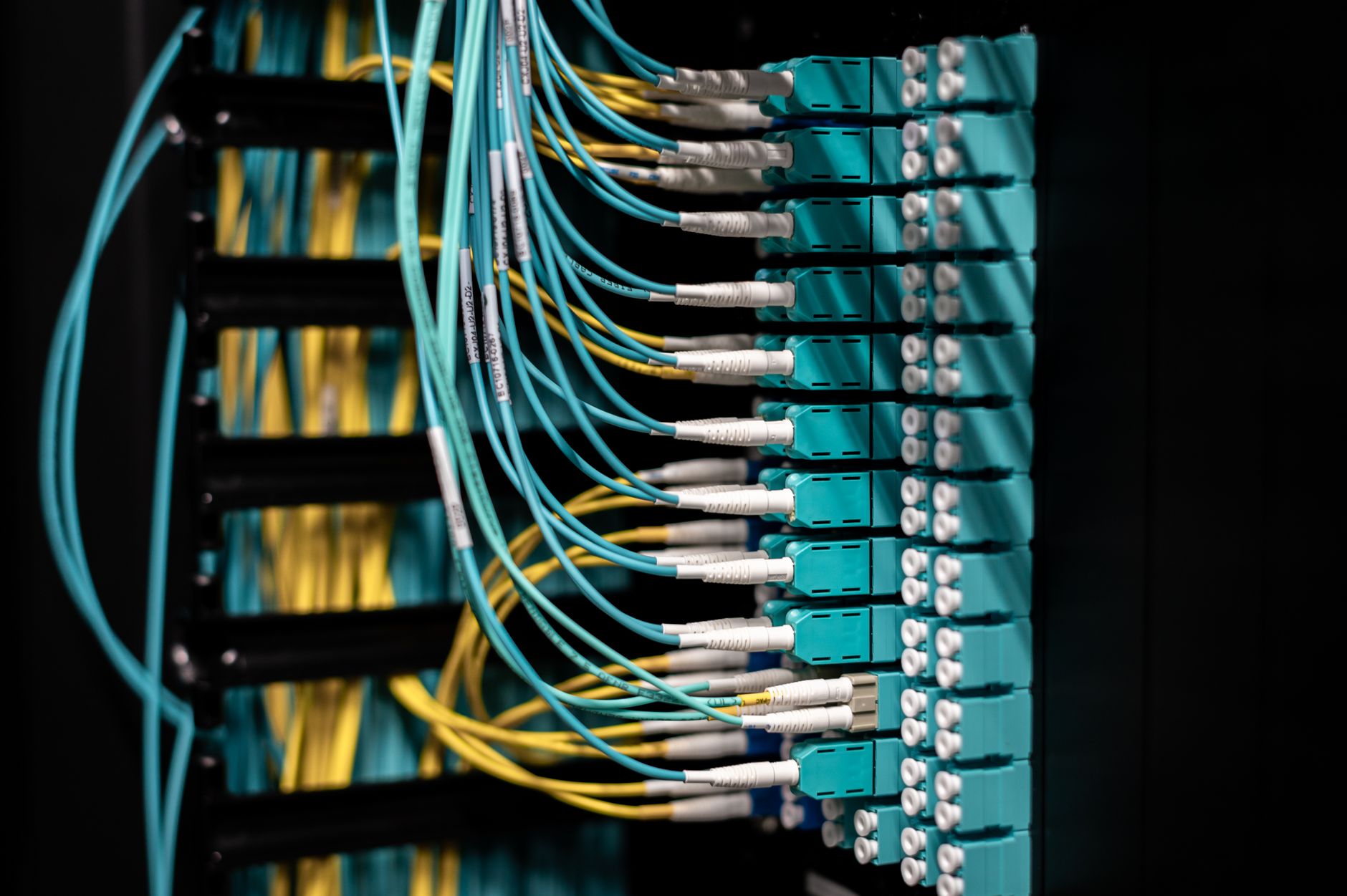 Closeup of switch in server with connectors and adapters con