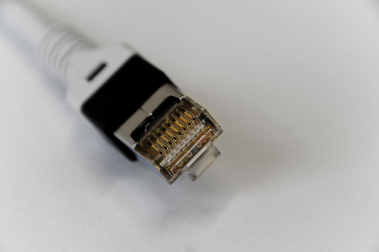 network, network cable, management, cable, plug, connection, patch cord, internet, lan, network plug, lan cable, dsl, data processing, edp, data cable, ethernet, hardware, technology, computer, network, network cable, lan, lan, lan, lan cable, lan cable, lan cable, data cable, ethernet, ethernet, ethernet, ethernet, ethernet, hardware