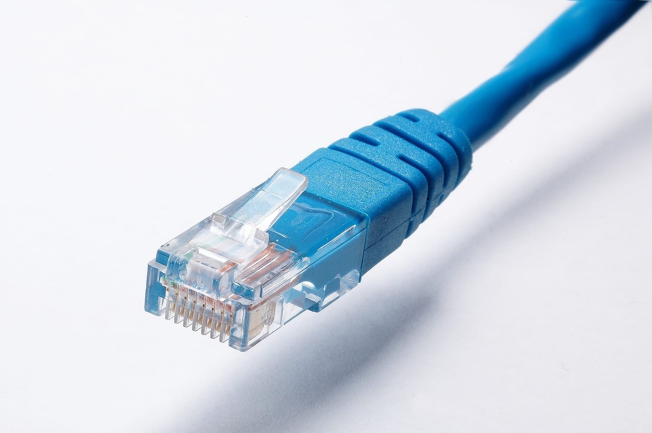 インターネット接続に使うLANケーブルのコネクター
