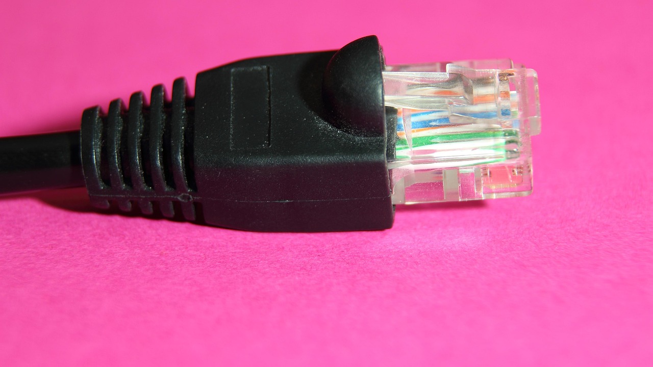 pc, plug, connection, peripheral, network, hardware, edp, connection cable, computer, computer accessories, data cable, technology, macro, detail shot, network cable